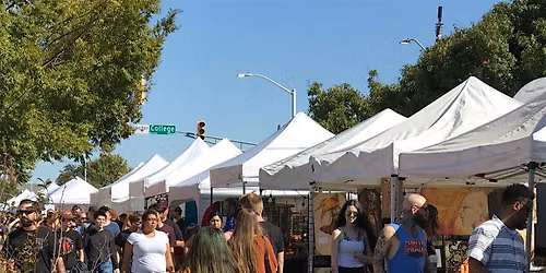 The Coastal Pop-Up Collective