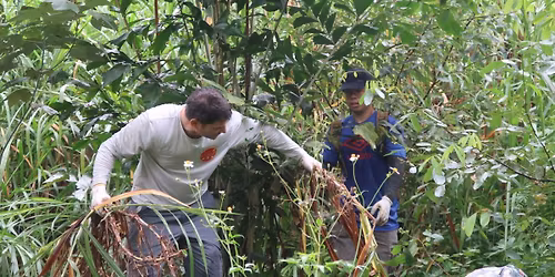NSS Rewilding Project: Site Maintenance along Rail Corridor