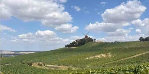 A Terni \/ Grandi champagne in piccoli vignerons