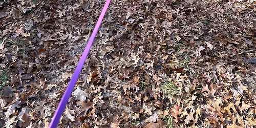 Introduction to Tracking 