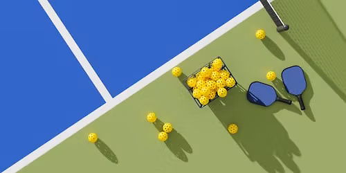 Backyard Pickleball Courts Grand Opening