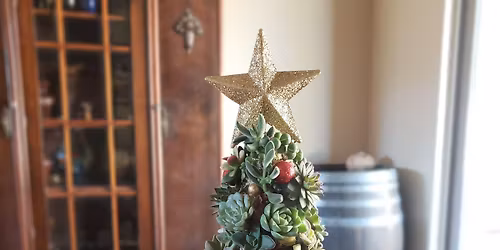 The Twelve Succulents of Christmas Workshop