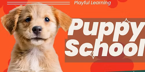 Puppy Preschool