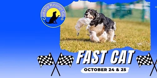 Fast CAT
