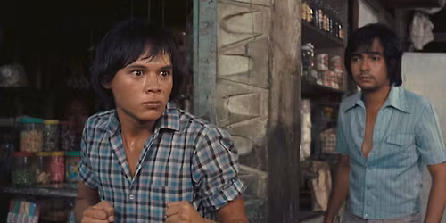 Cinema at the Museum: Manila in the Claws of Light