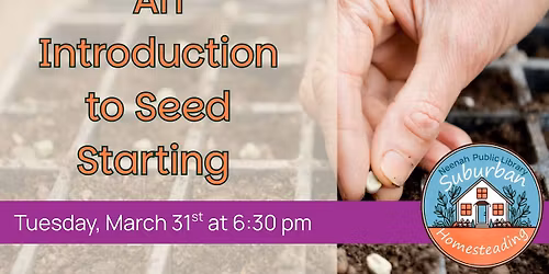 Suburban Homesteading: An Introduction to Seed Starting