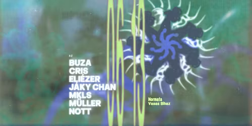 SYNDANZ x OML\u00c1S \/\/ Open Air 