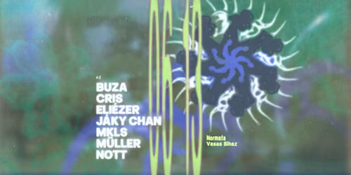 SYNDANZ x OML\u00c1S \/\/ Open Air