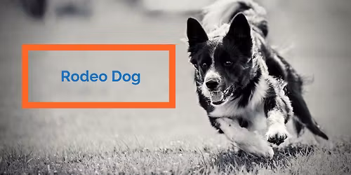 Rodeo Dog Trial