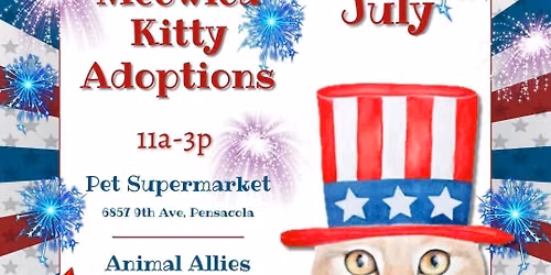 AAFL KITTY ADOPTIONS 