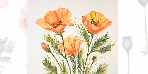 Let's Paint Poppies!