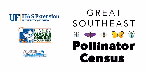 The Great SE Pollinator Census Pre-Count at the Zora Neale Hurston Library