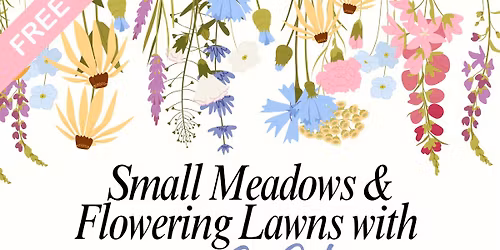 Small Meadows & Flowering Lawns