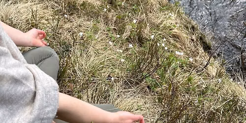 Ashtanga Intro \u2022 Stille Yoga