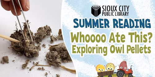 Whoooo Ate This? Exploring Owl Pellets (Registration Required)