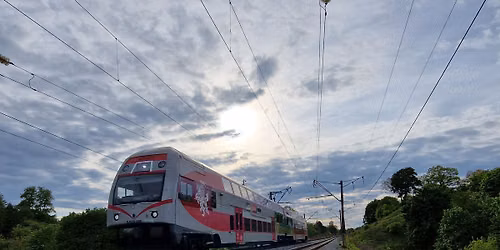 Marku\u010di\u0173 kontrastai-\u017eygis ekskursija