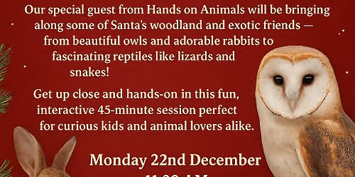 A Fairhaven Christmas with The Critters 