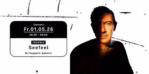 Concert - Seefeel
