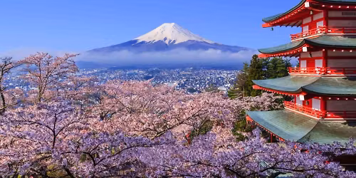 Cherry Blossoms in Japan - The Golden Triangle incl. Tokyo, Kyoto, and Osaka..
