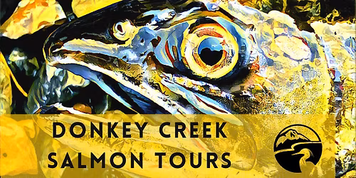 Donkey Creek Salmon Tours