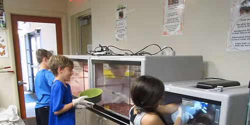 Animal Keeper for a Day