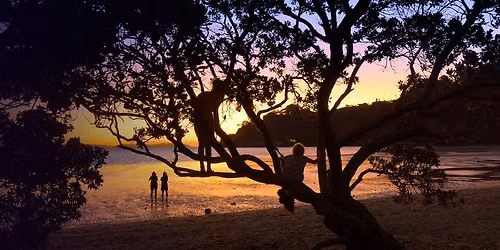 Looking Back to Move Forward: The Call of P\u014dhutukawa
