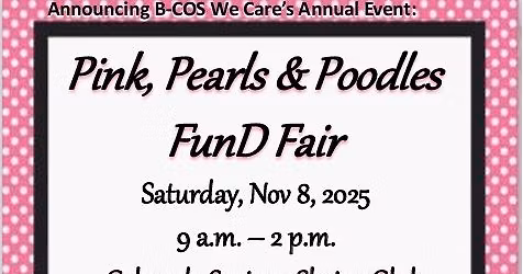 B-COS We Care FunD Fair