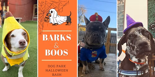 Barks & Boos: Halloween Bash at Dog Park