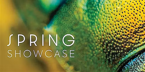 National Children's Chorus: Los Angeles Spring Showcase