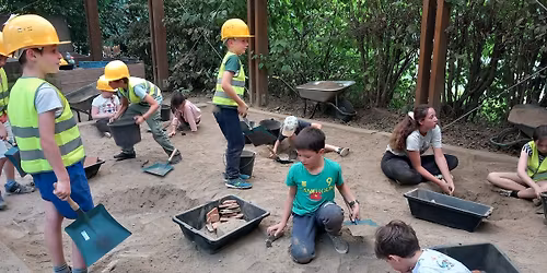 Stage "Arch\u00e9ologues en herbe"