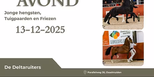 Oefenavond jonge Tuigpaard en Friese hengsten 2025