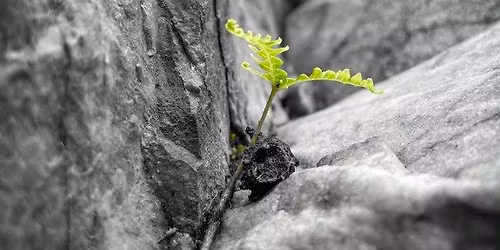 "Building Resilience": In-Person Badger Talk in Onalaska, WI