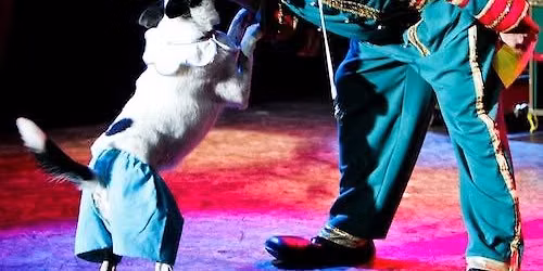 V Theater Las Vegas: Popovich Comedy Pet Theater Tickets