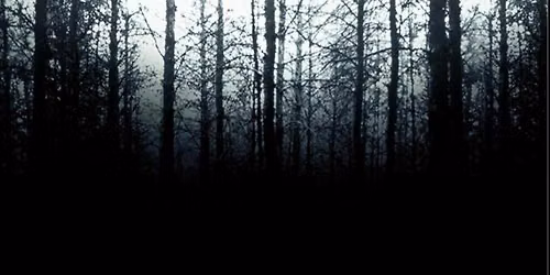The Blair Witch Project