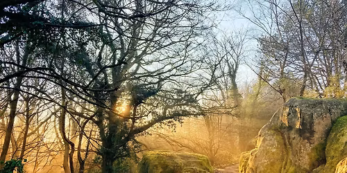 Walk Tonbridge Club: The High Rocks, Happy Valley and The Commons