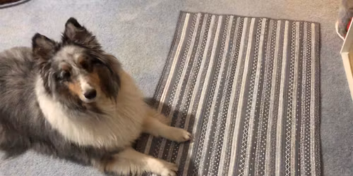 Jelly Roll Rug by RJ Designs