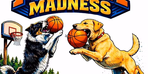 March Madness ALT\/UDD Dock Diving Event