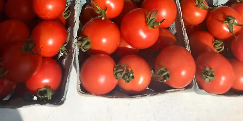 Superior Downtown Farmers\u2019 Market 