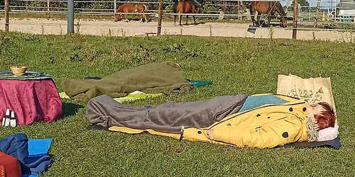 Meditatie tussen de paarden \ud83e\uddd8\u200d\u2640\ufe0f\ud83d\udc34