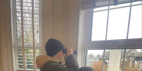 Birdwatch at Willesden Jewish Cemetery