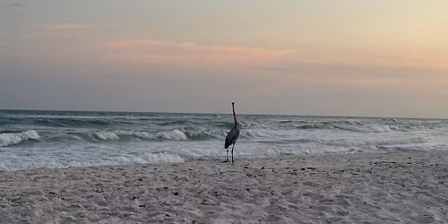 Sunset Yoga at Pensacola Beach with Rebecca Sathre