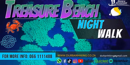 Treasure Beach Night Walk