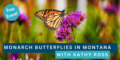 Monarch Butterflies in Montana Talk with Kathy Ross 