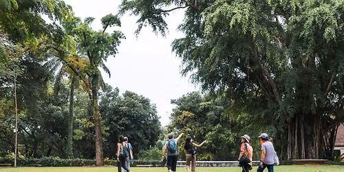 From Seed to Tree: Fort Canning (26 Sept 26)