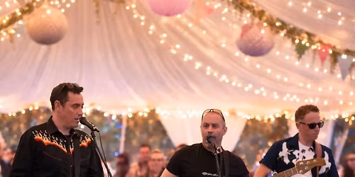 DT bring the entertainment to a Private Wedding Party