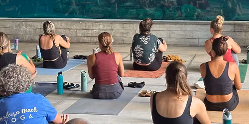 Dolphin Yoga