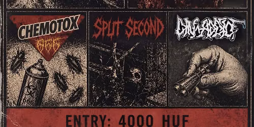 Grindcore matin\u00e8 at Riff Budapest
