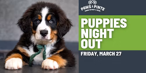 Puppies Night Out