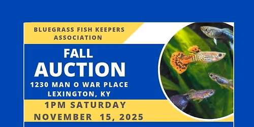 BFKA Fall Auction