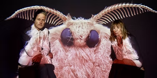 The Moth - Saint Paul